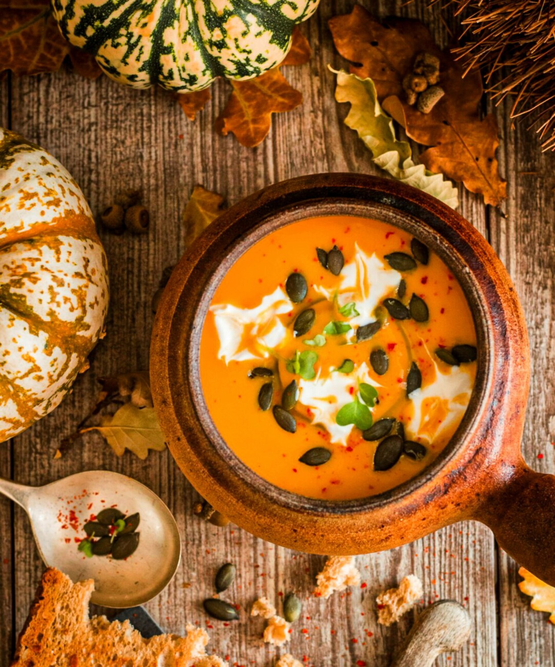Wonderful creamy pumpkin soup supports a good cause | photo by Monika Borys, UnSplash