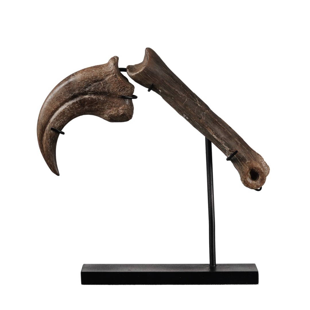 The National History lots The National History lots