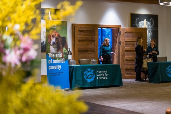 Gstaad supported the Humane World of Animals | Photos by Nick Wallace