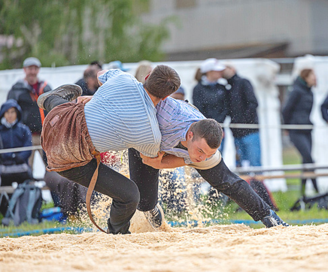 Sawdust flying, muscles straining and thousands watching: Schwingen combines sport, tradition and spectacle like no other Swiss discipline. Sawdust flying, muscles straining and thousands watching: Schwingen combines sport, tradition and spectacle like no other Swiss discipline.