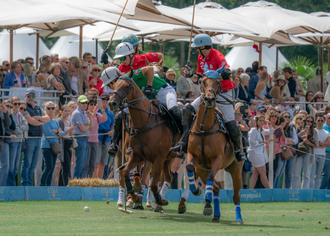 Plenty of close-up action for the spectators at the polo in 2025 | Photos RBPresse_P.Renauldon-31 Plenty of close-up action for the spectators at the polo in 2025 | Photos RBPresse_P.Renauldon-31