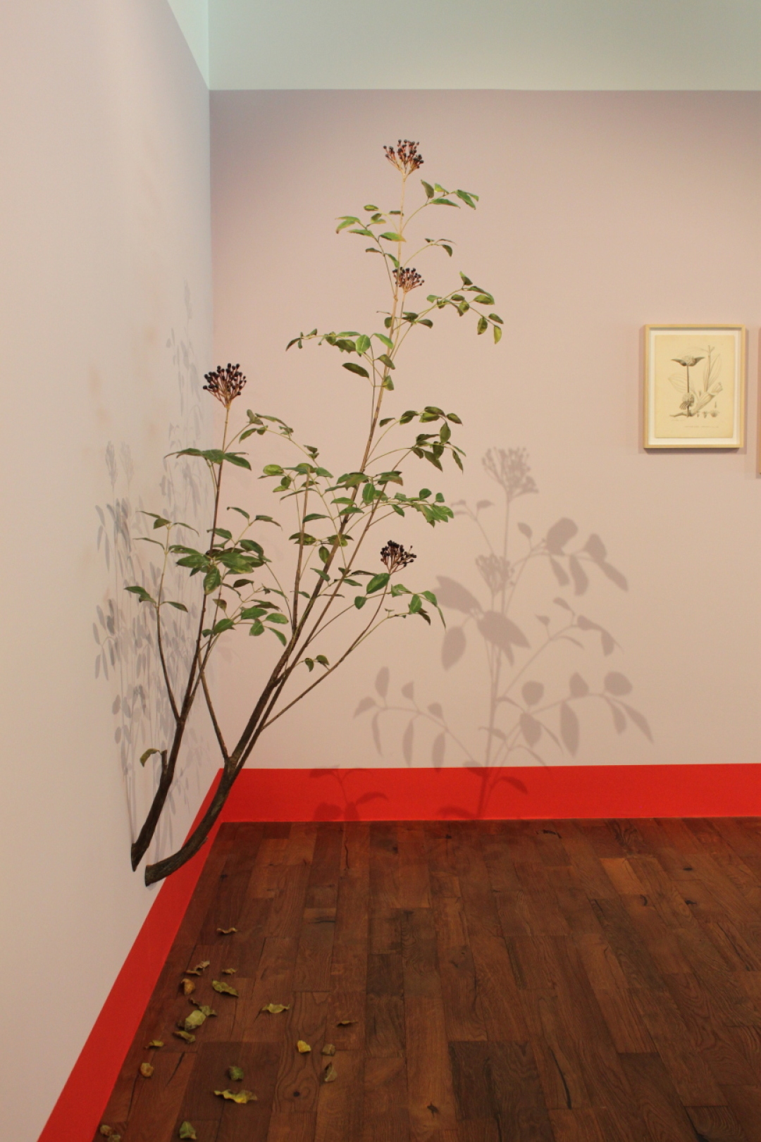 Spanish artist Álvaro Urbano turns plants into painted metal forms. Some branches have leaves, some do not. They appear to be growing where they please, intruding into human space. Spanish artist Álvaro Urbano turns plants into painted metal forms. Some branches have leaves, some do not. They appear to be growing where they please, intruding into human space.