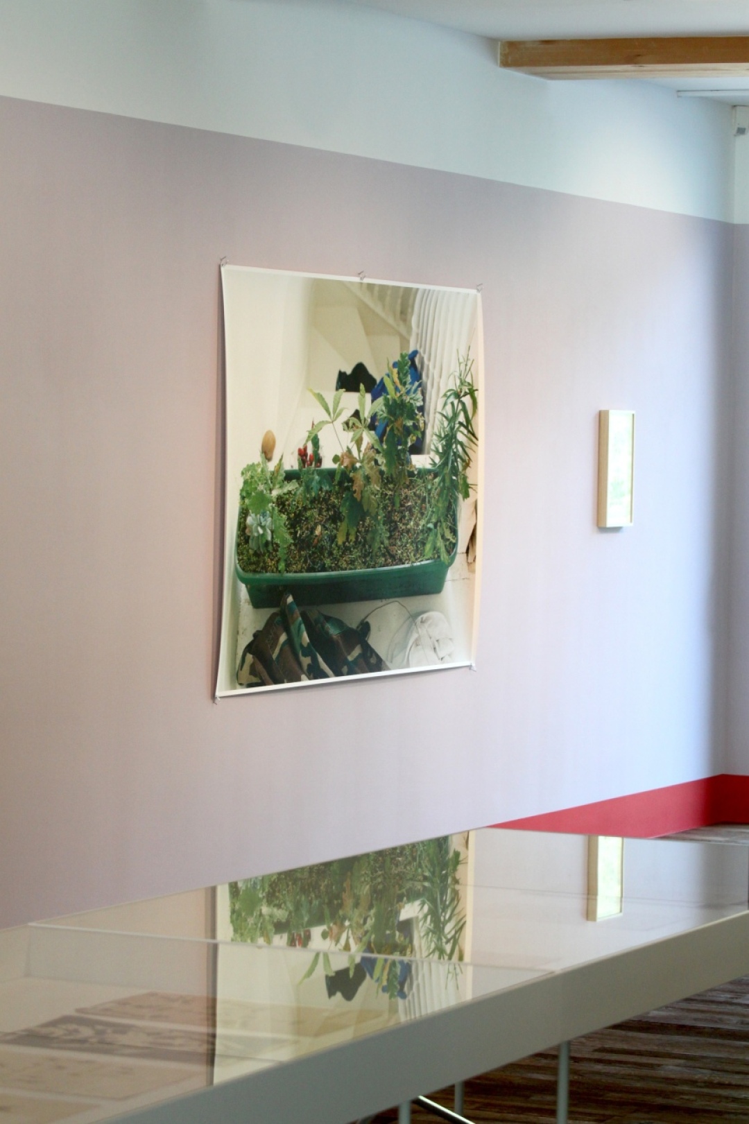 Wolfgang Tillmans -- his photographs bring plants into the everyday life. Wolfgang Tillmans -- his photographs bring plants into the everyday life.