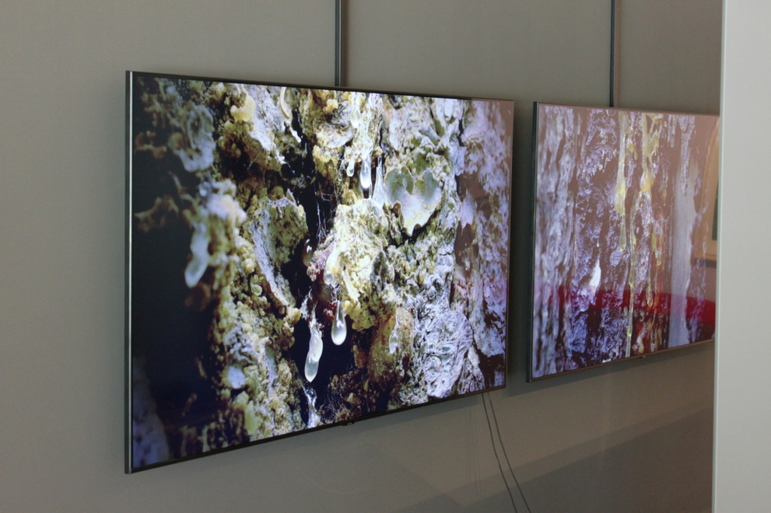 14 min video work by Zurich-based Monica Ursina Jäger takes us into the Swiss forest. Images, movement, and sound create something the illusion af a forrest frequency. 14 min video work by Zurich-based Monica Ursina Jäger takes us into the Swiss forest. Images, movement, and sound create something the illusion af a forrest frequency.
